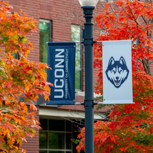 picture of uconn banner on a light post surrounded by autumn leaves